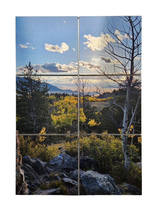 The Modern Fridge Puzzle Collection