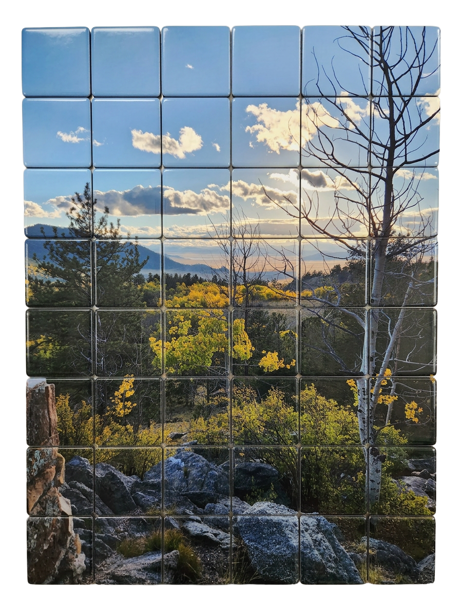 The Puzzle Master Collection